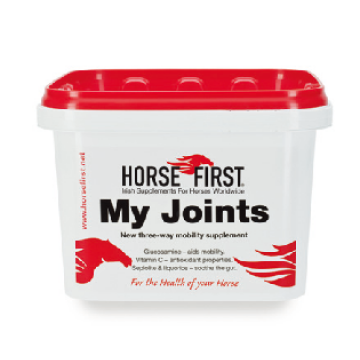Horse First My Joint